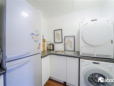 Picture 26